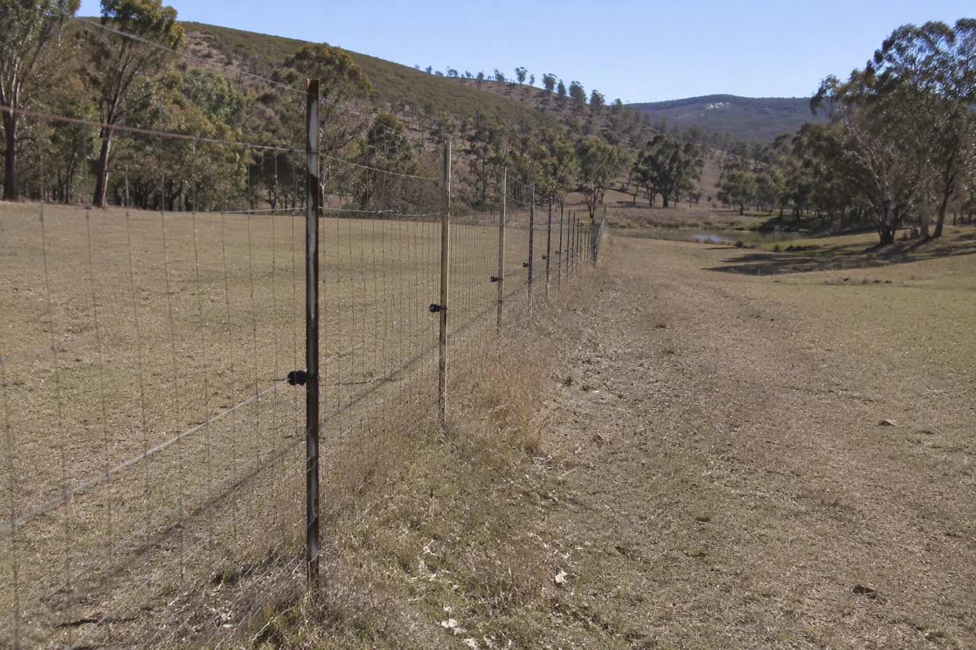 Generated illustration for goat-fencing-that-actually-works