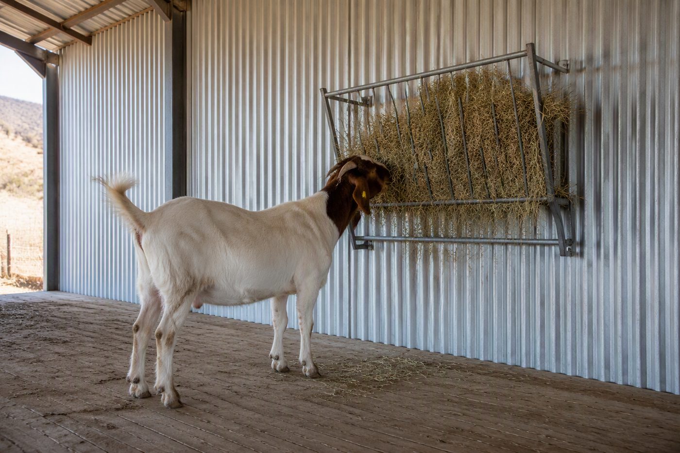 Generated illustration goat