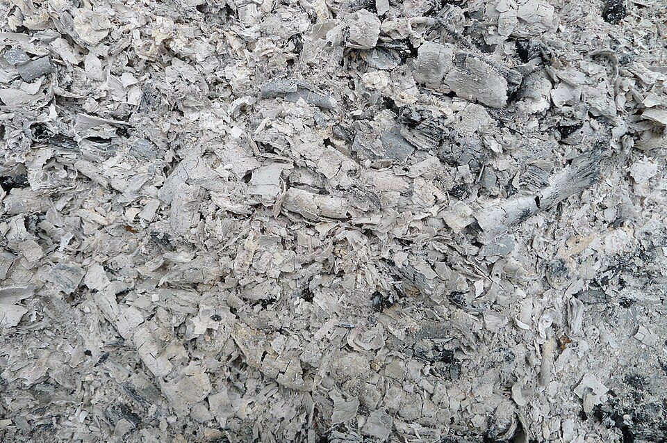 Close-up of white wood ash flakes and residue.