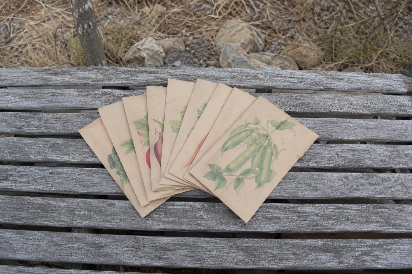 Generated illustration for seed-catalogs-australia