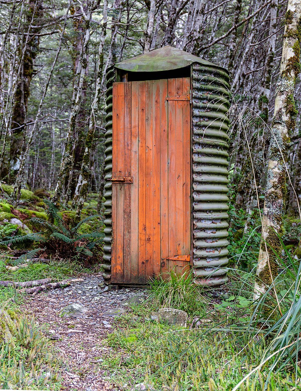 Rustic corrugated iron and wood outdoor toilet in a forest.