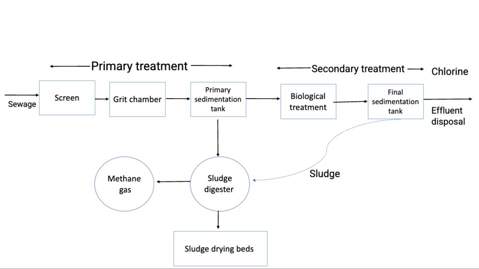 Flow diagram of sewage treatment stages including sludge digestion.