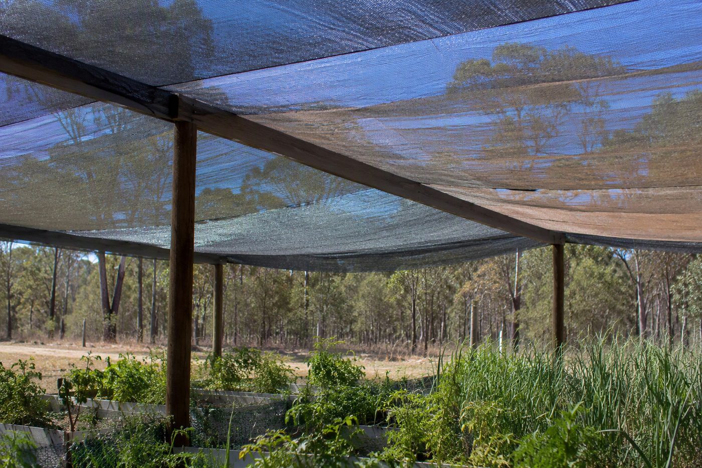 Generated illustration for shade-cloth-selection