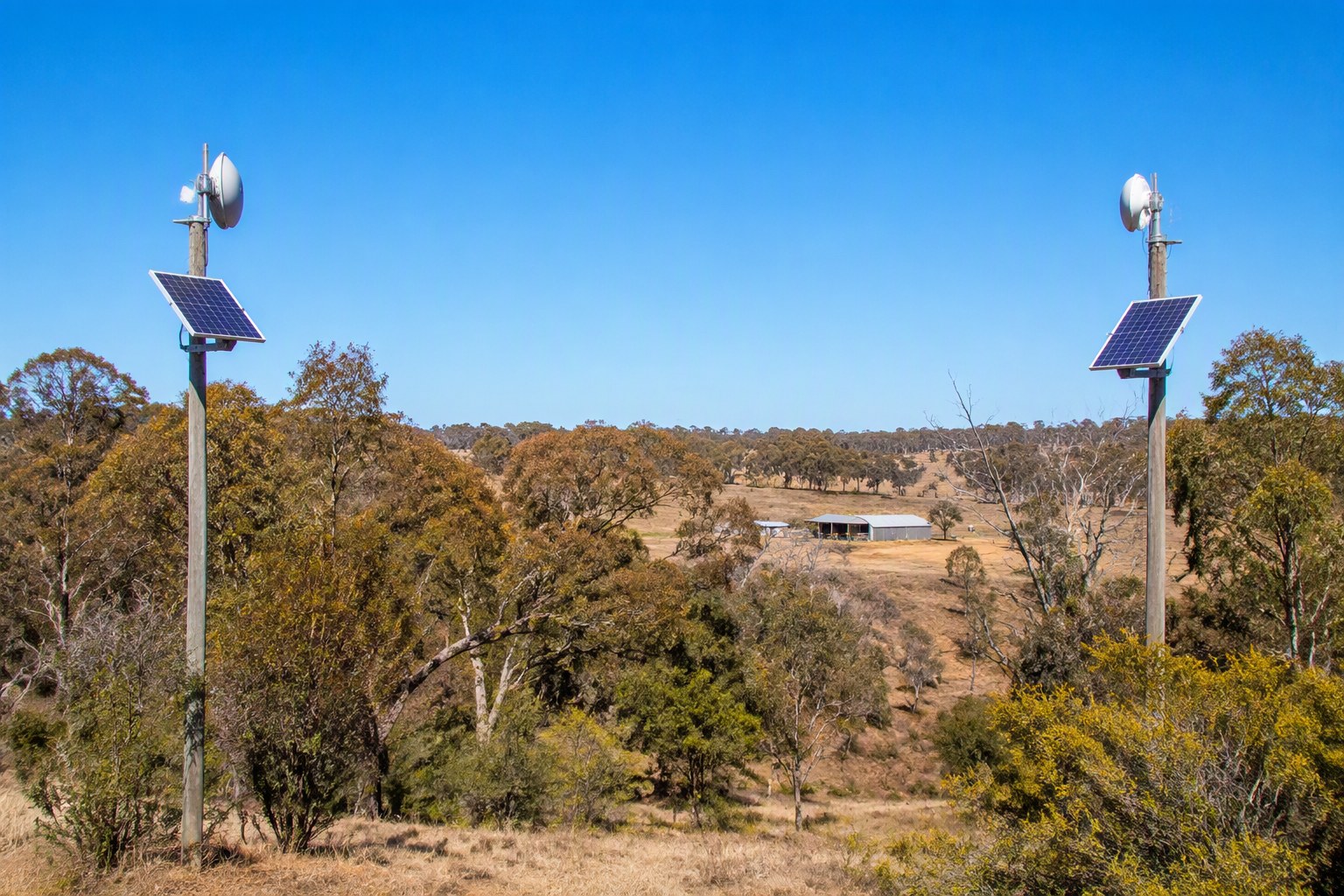 Mesh Networks for Off-Grid Aussie Living: No Bullshit Setup Guide