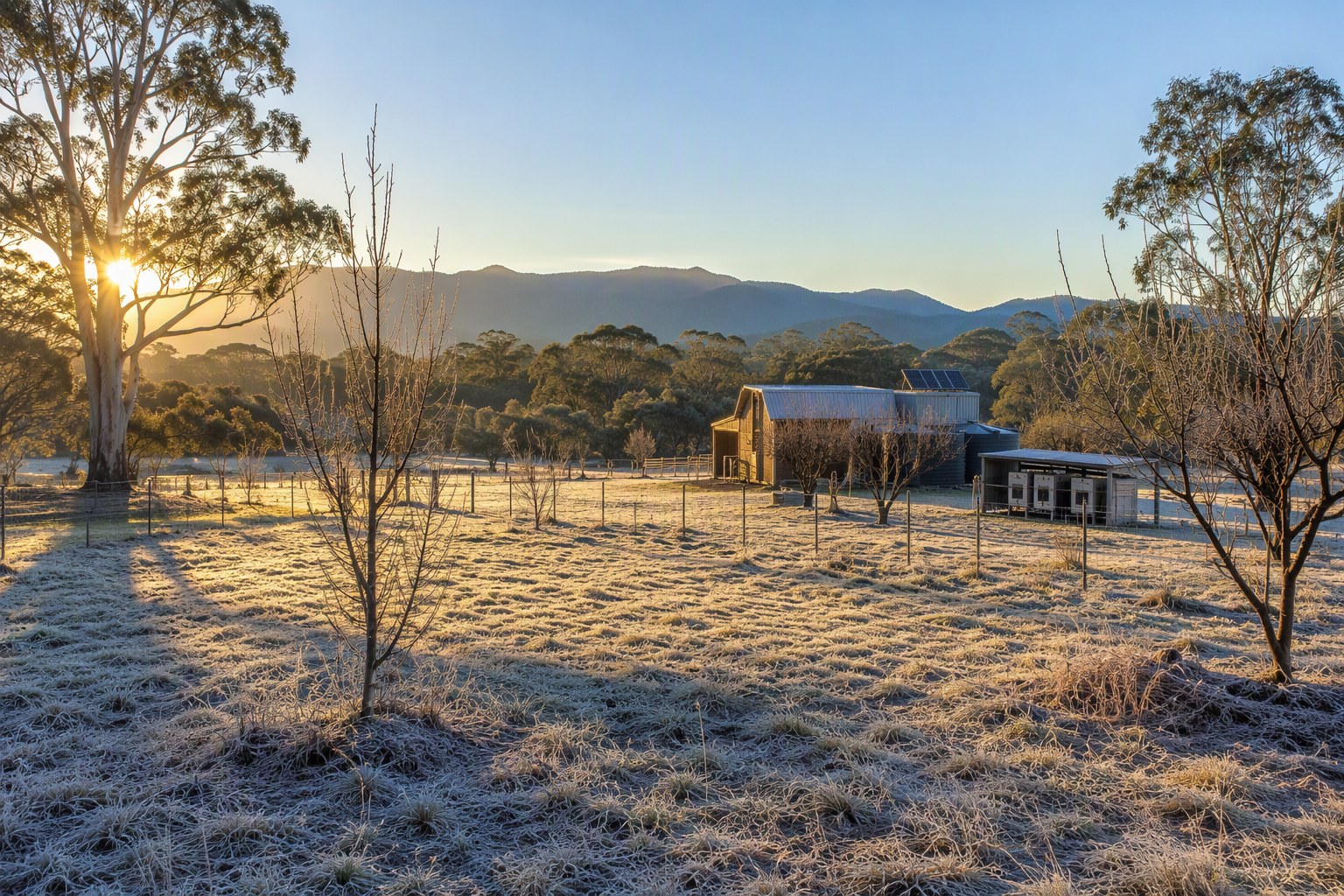 Off-Grid Backup Power: Battery Banks, Generators & Switching Systems